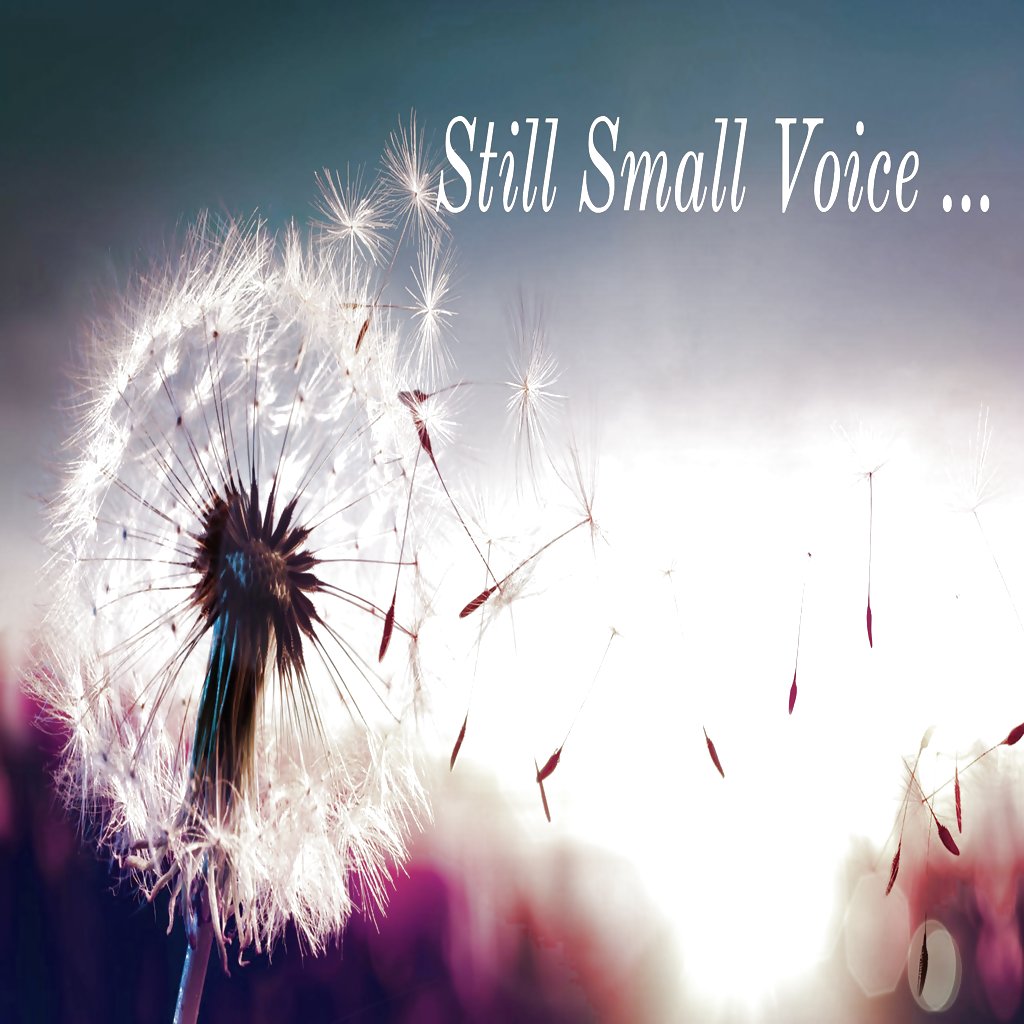 Still Small Voice Fellowship Baptist Church
